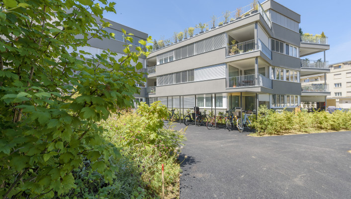 Gesamtleistungen, Dorenbachstrasse Binningen, 3