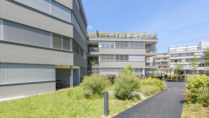 Gesamtleistungen, Dorenbachstrasse Binningen, 5