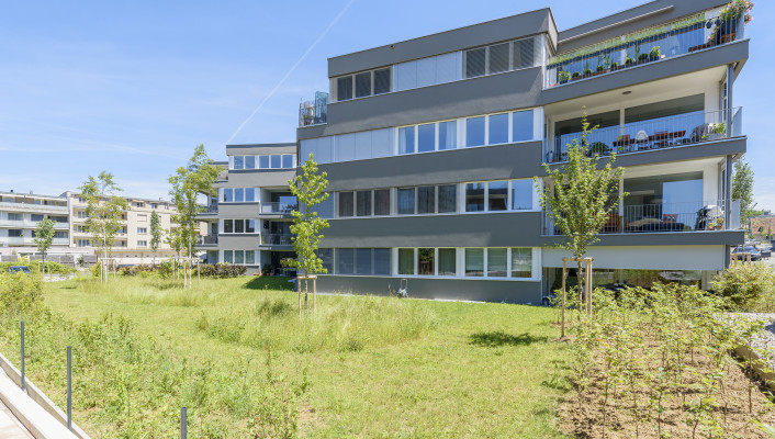 Gesamtleistungen, Dorenbachstrasse Binningen, 7