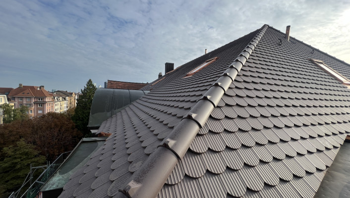 energetische Dachsanierung_Delsbergeralle Basel