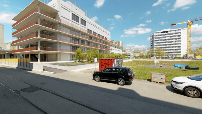 Neubau, Elsaesserstrasse Basel, 6