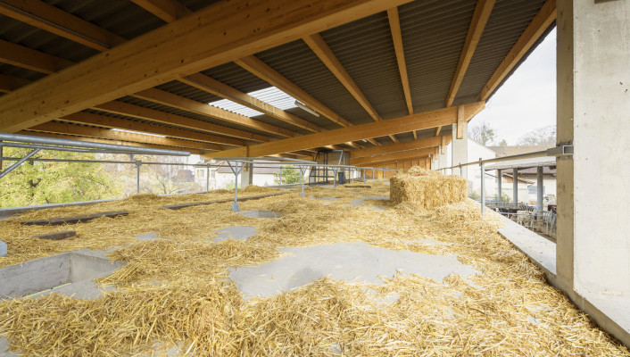 Neubau, St. Margarethengut Binningen, 6