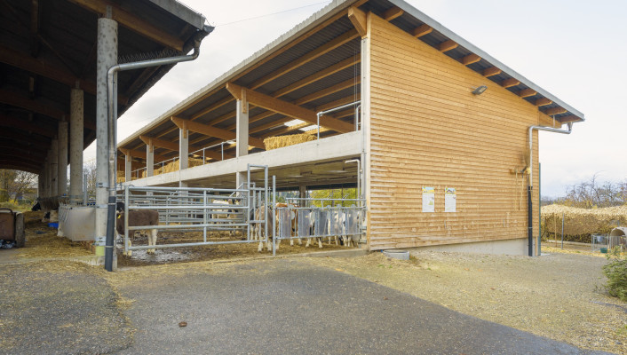 Neubau, St. Margarethengut Binningen, 11