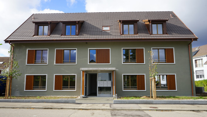 Holzelementbau Dachelemente_Mühlegasse, Kaiseraugst