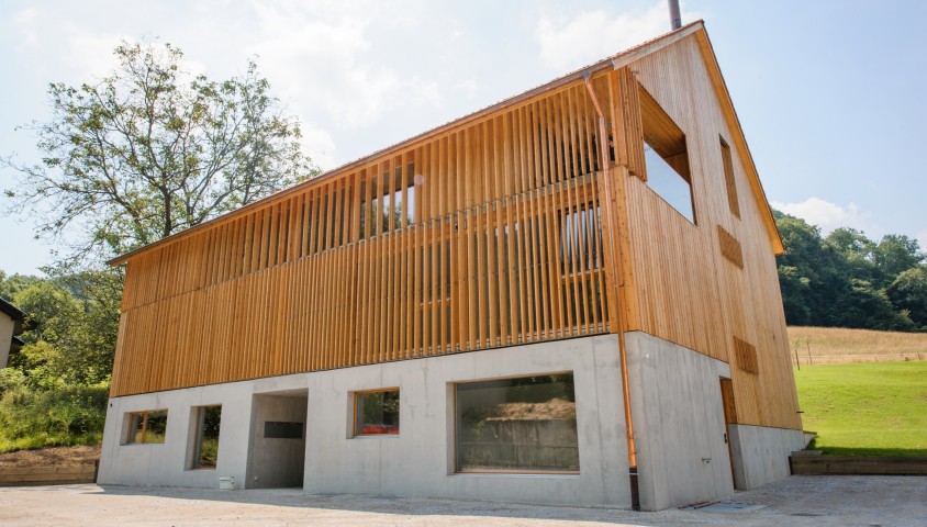 Holzbau Einfamilienhaus